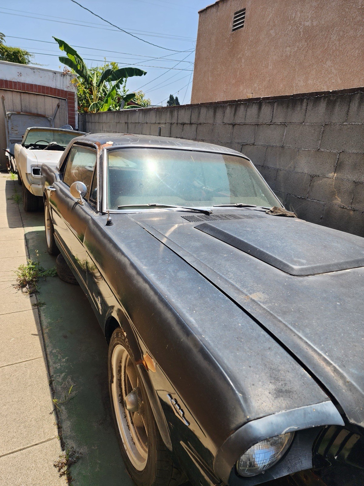 Ford Mustang 1966