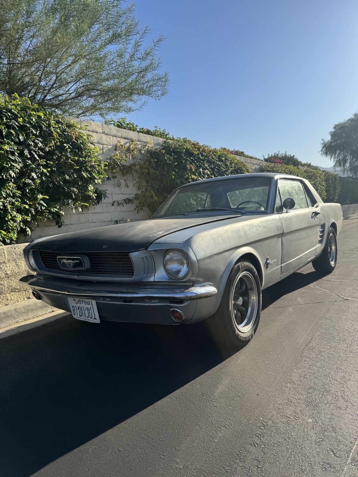 Ford Mustang 1966