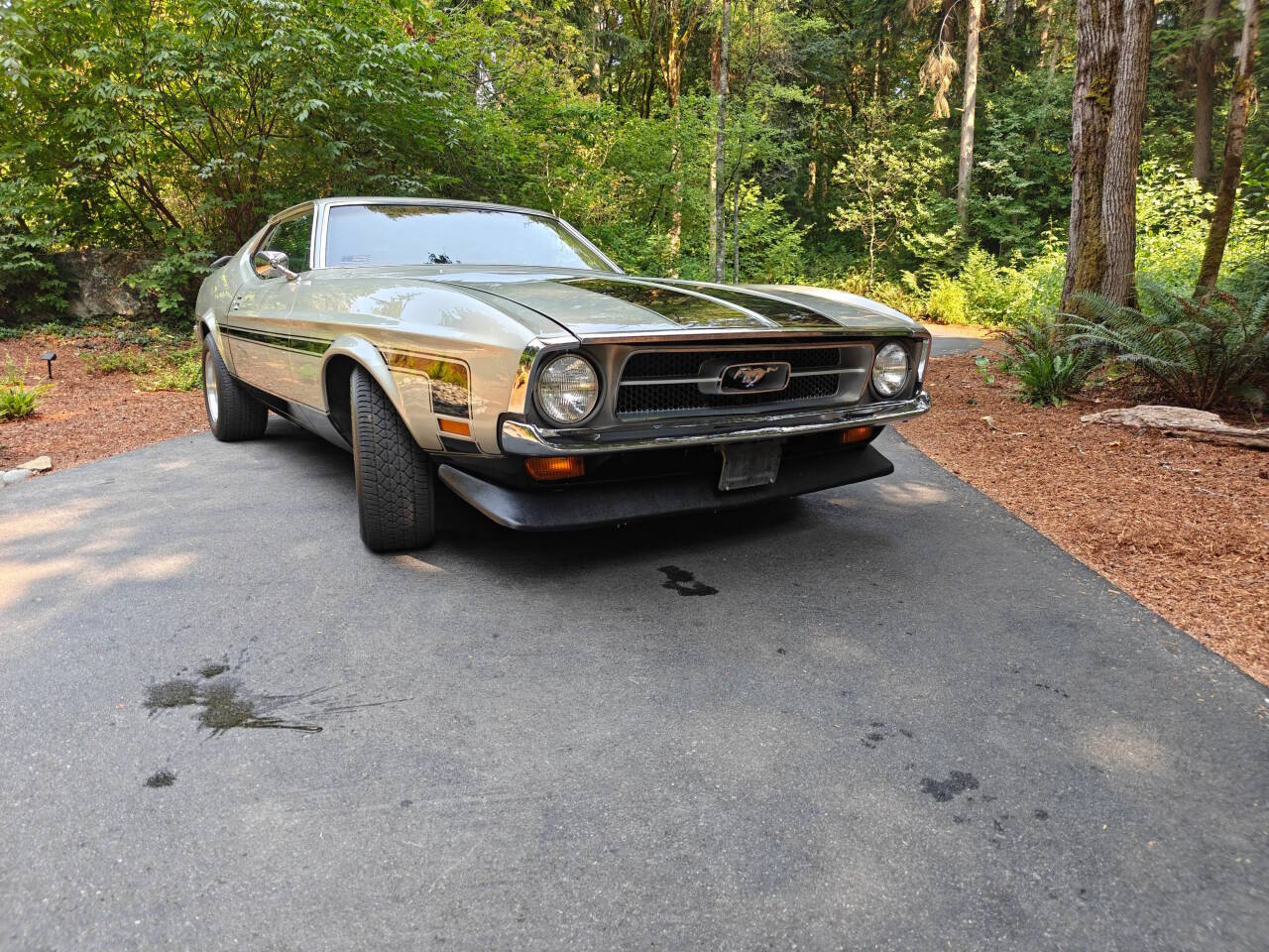 Ford-Mustang-1971-Gray-Black