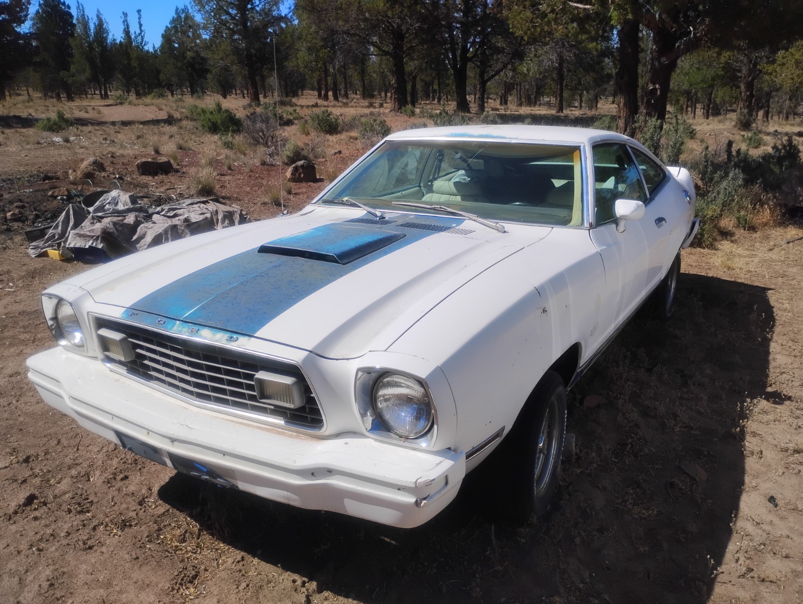 Ford-Mustang-1977-Coupe