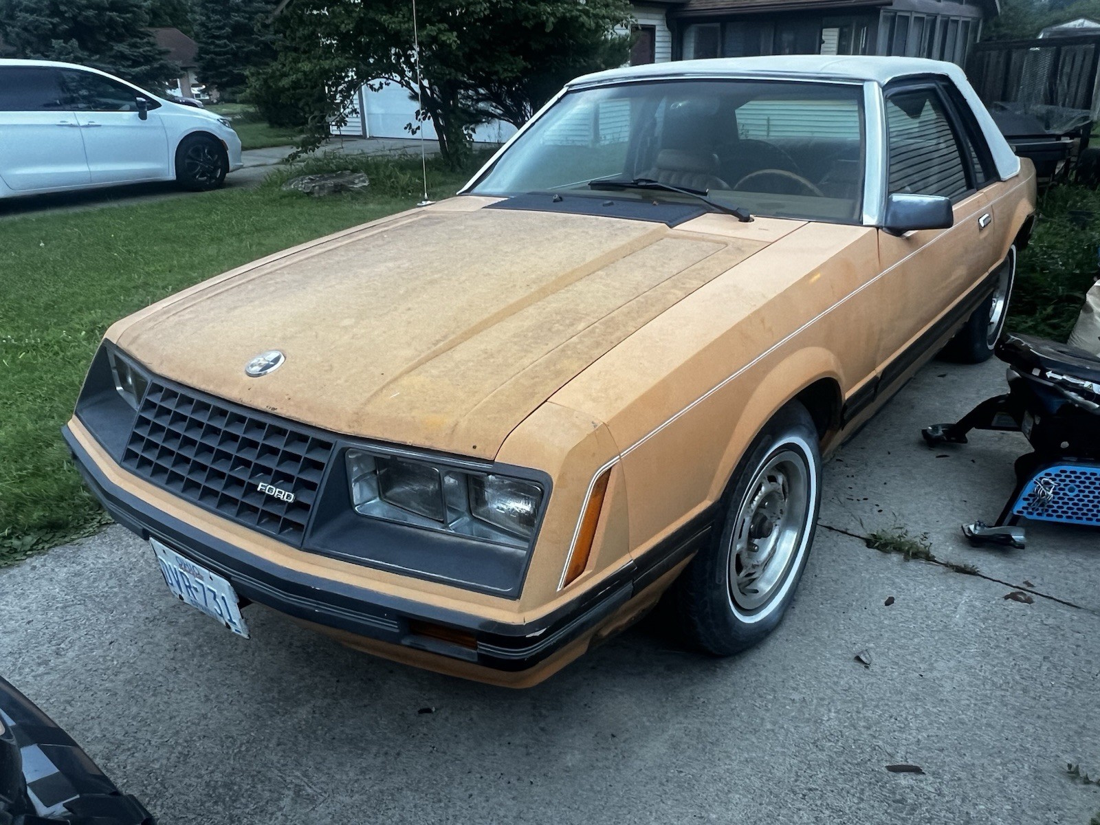 Ford-Mustang-1980-Coupe-Tan