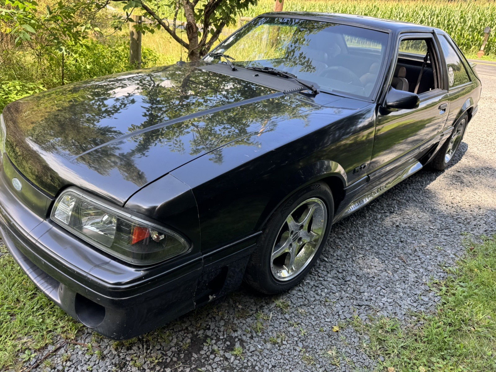 Ford Mustang 1991