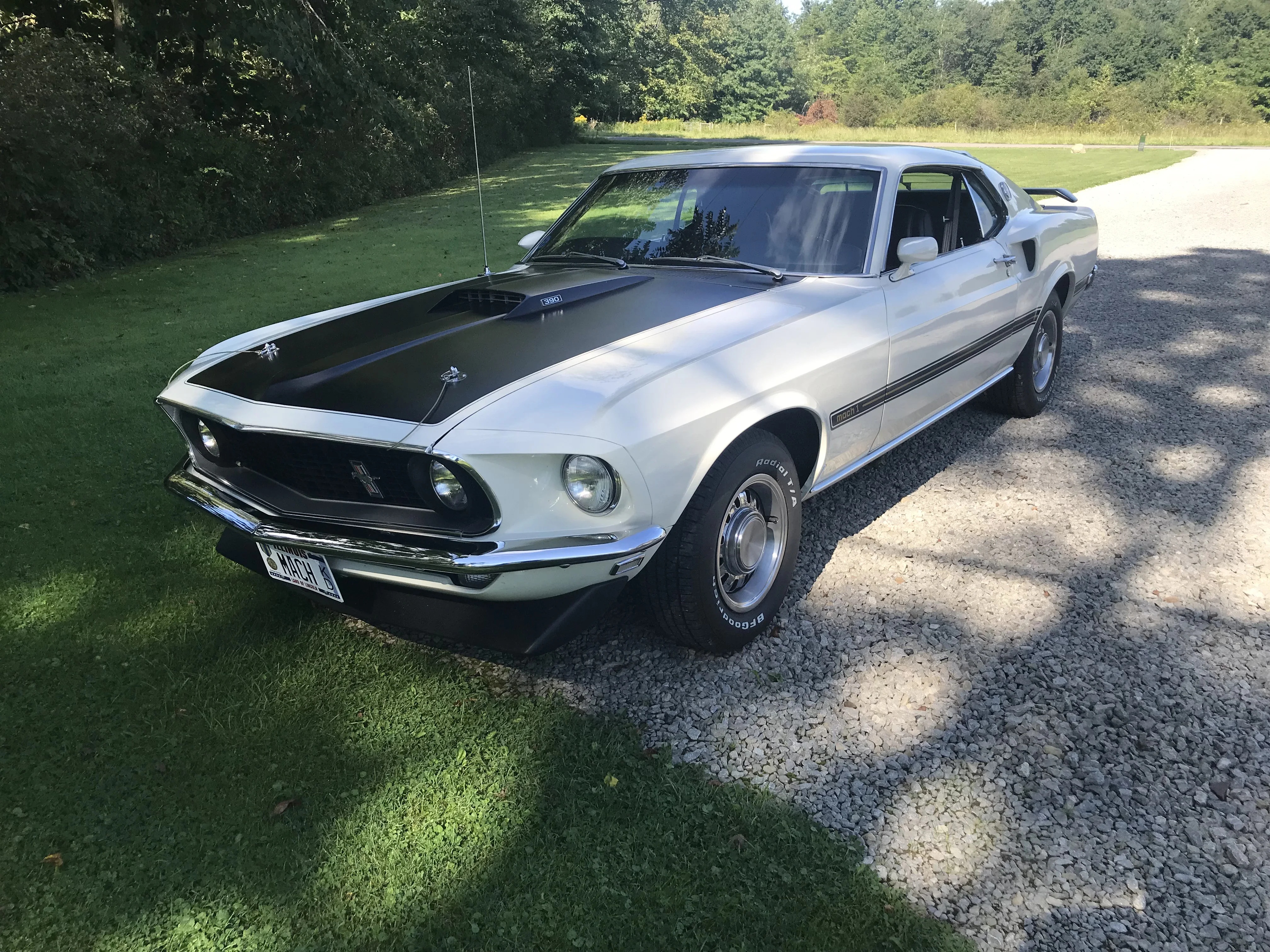 Ford-Mustang-390-s-code-1969-White-Black