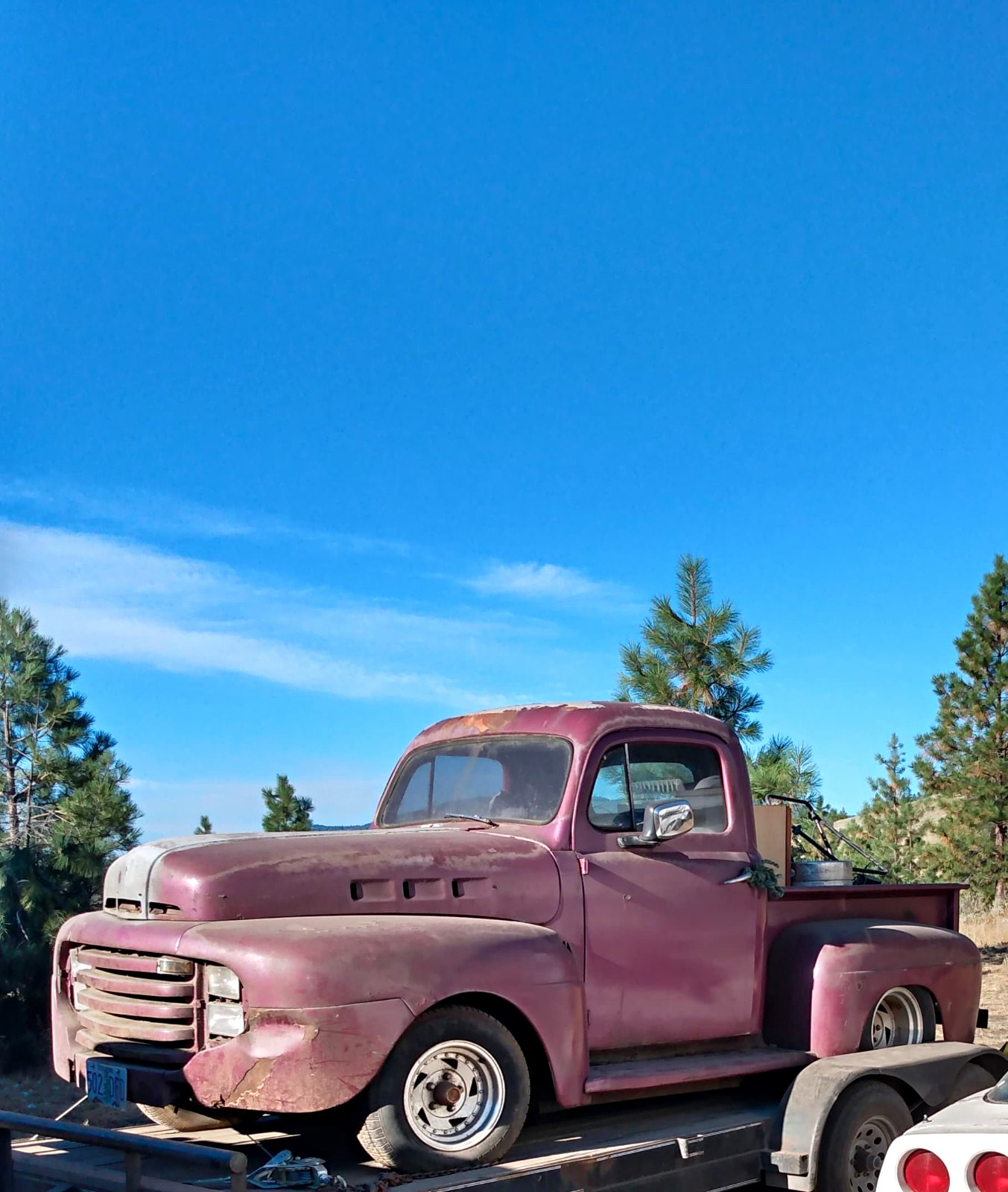 Ford-Other-Pickups-1950-Standard-Cab-Pickup