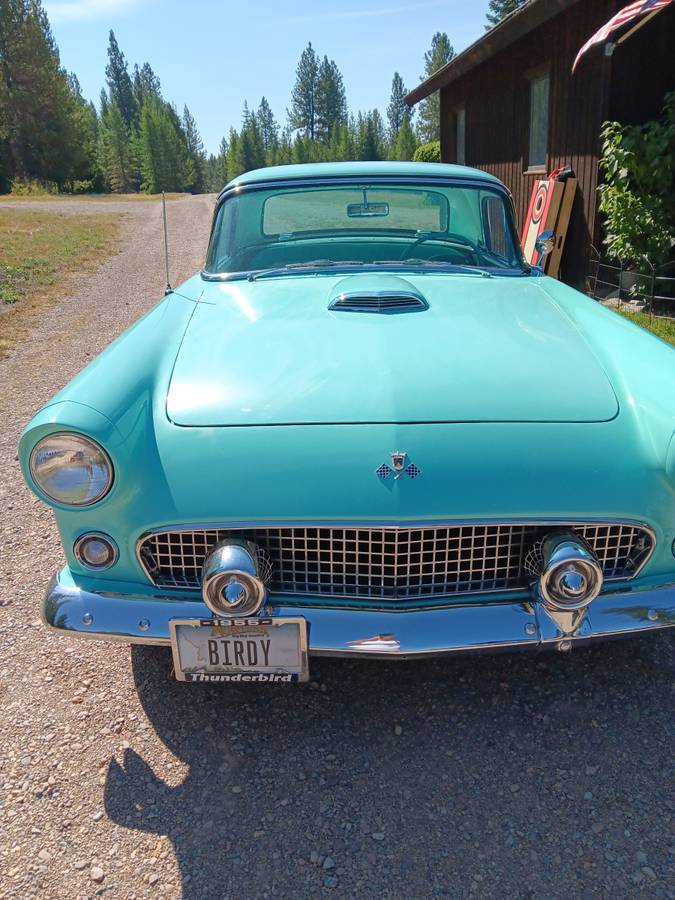 Ford-Thundeerbird-1955-custom