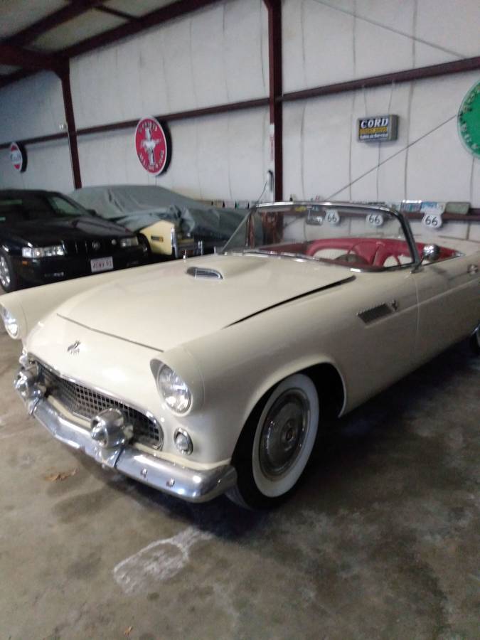 Ford Thunderbird 1955, photo 1