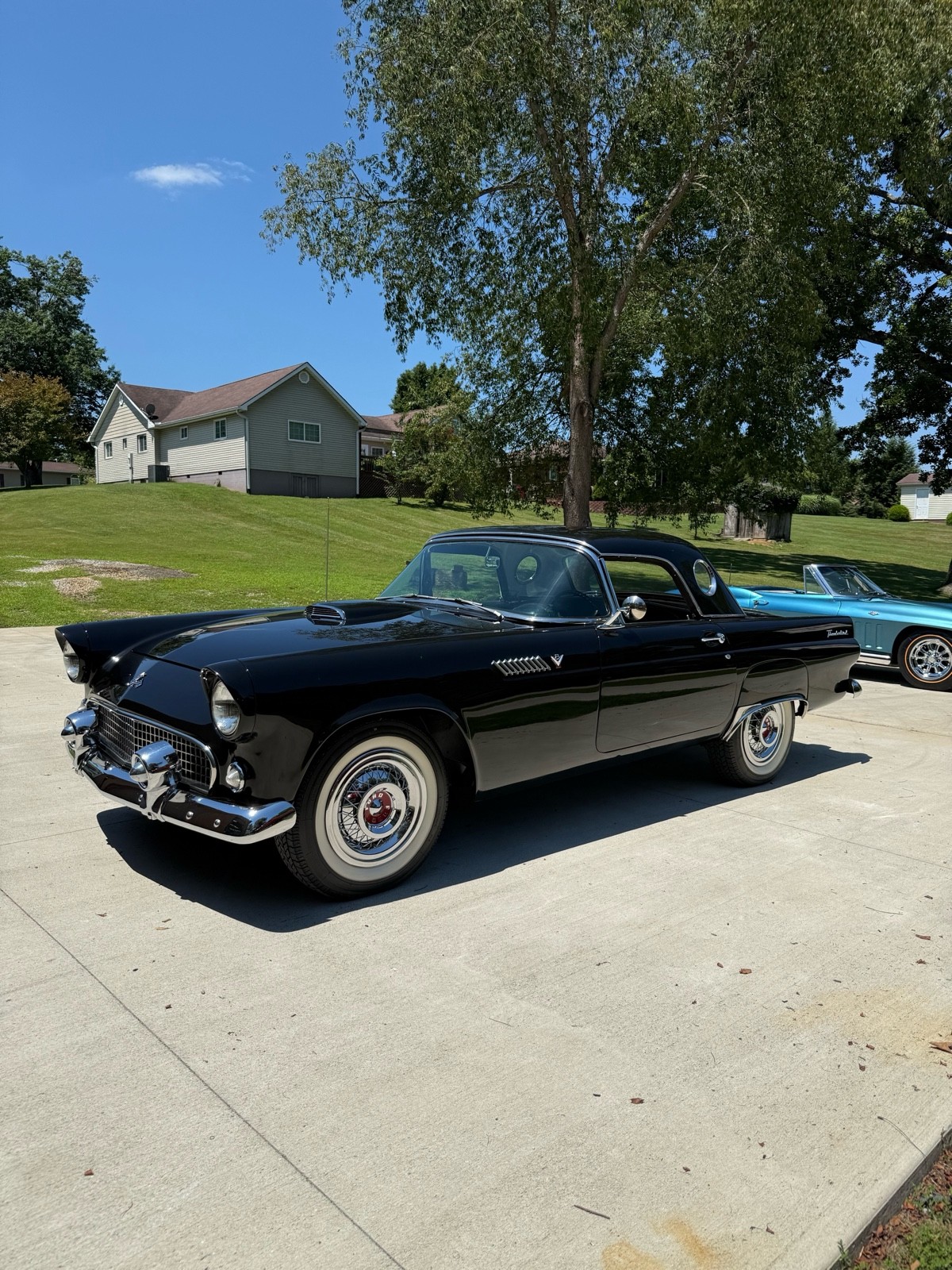 Ford-Thunderbird-1955
