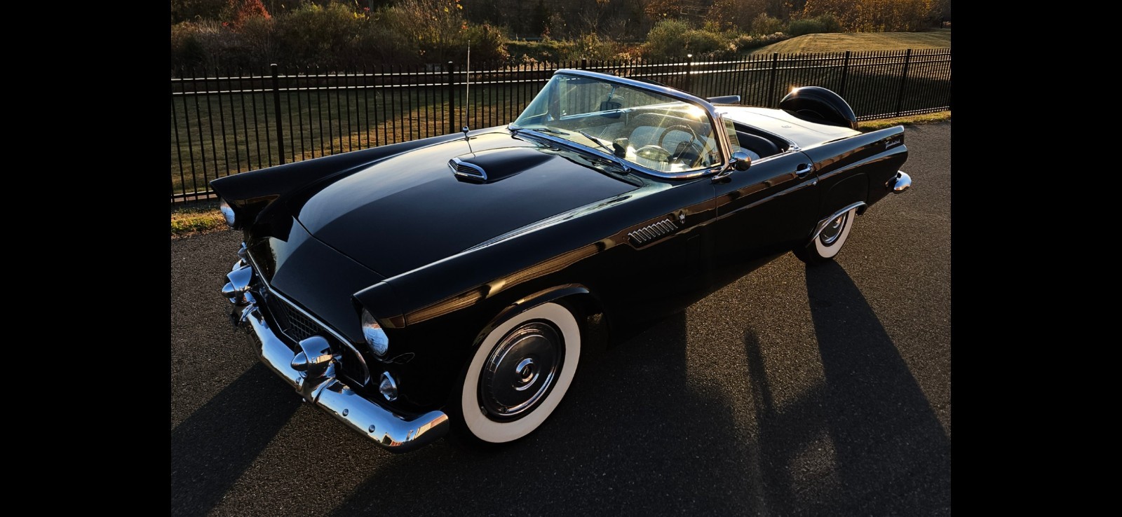 Ford Thunderbird 1956
