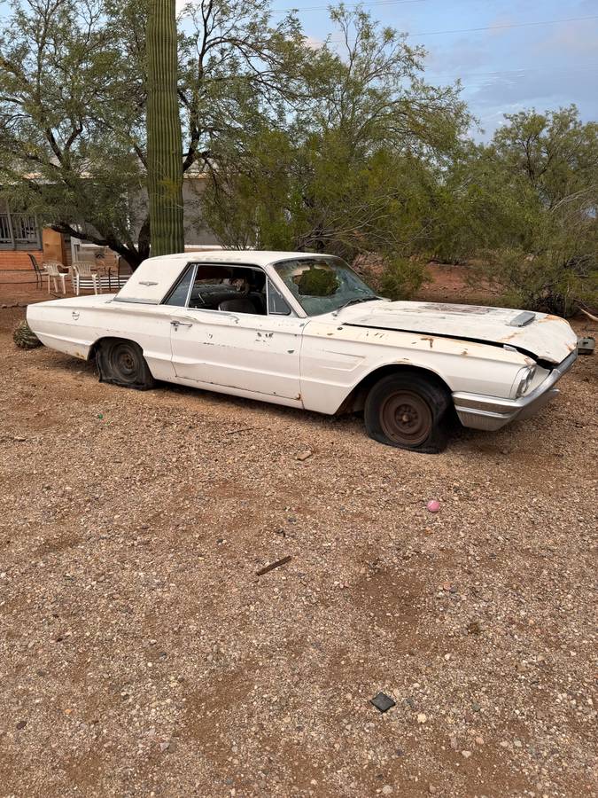 Ford-Thunderbird-1964-white