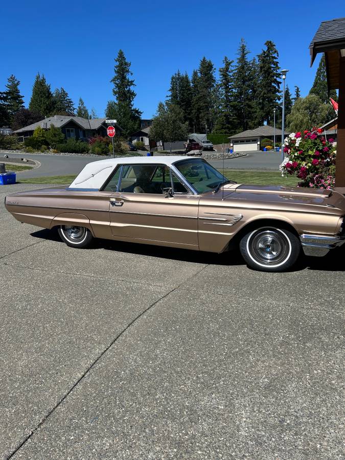 Ford-Thunderbird-1965-brown
