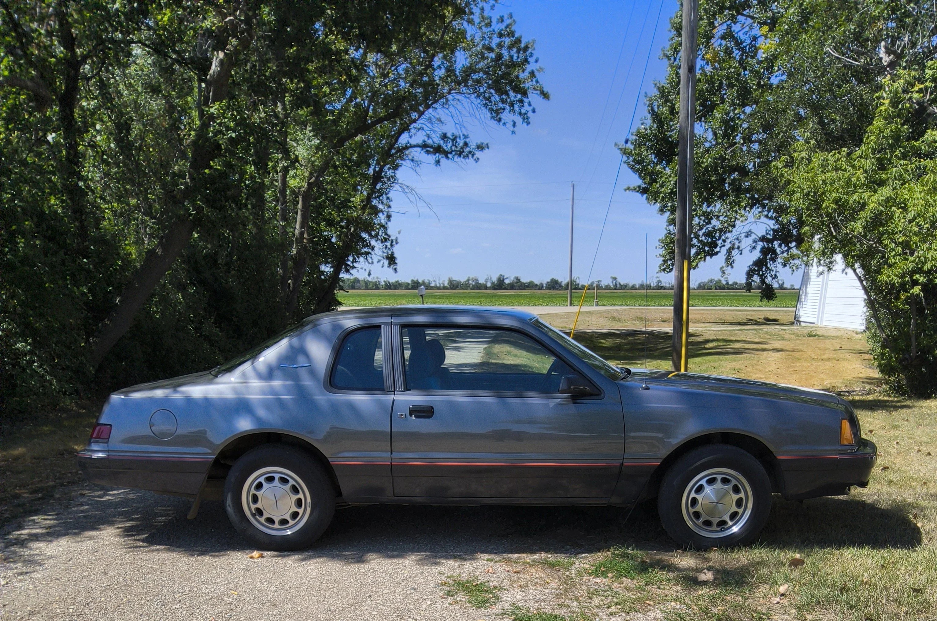 Ford-Thunderbird-1986-Gray-Charcoal