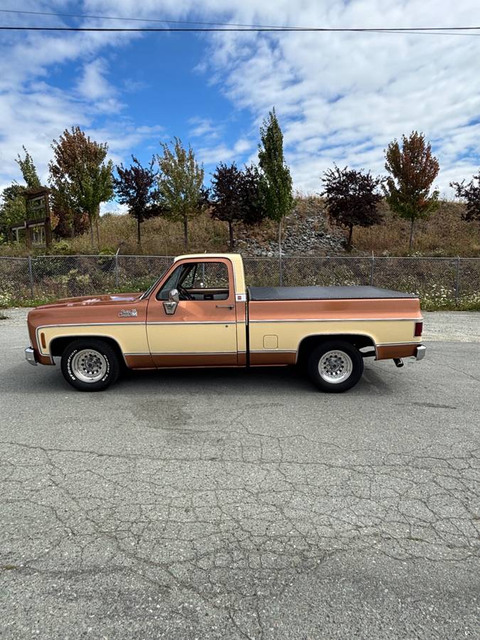 Gmc-1979-brown