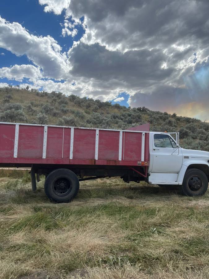 Gmc-6000-1974-White