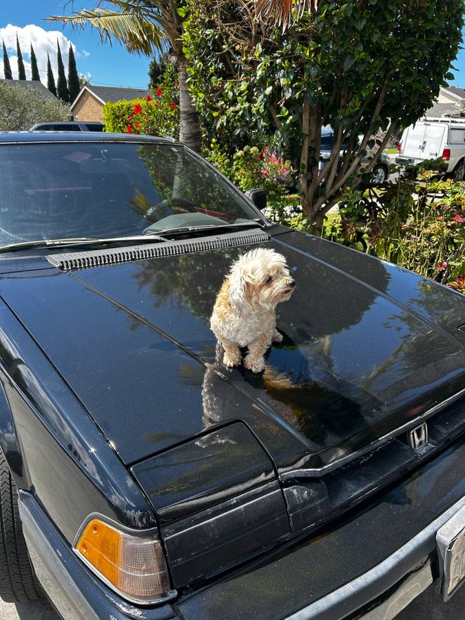 Honda-Prelude-1986-black