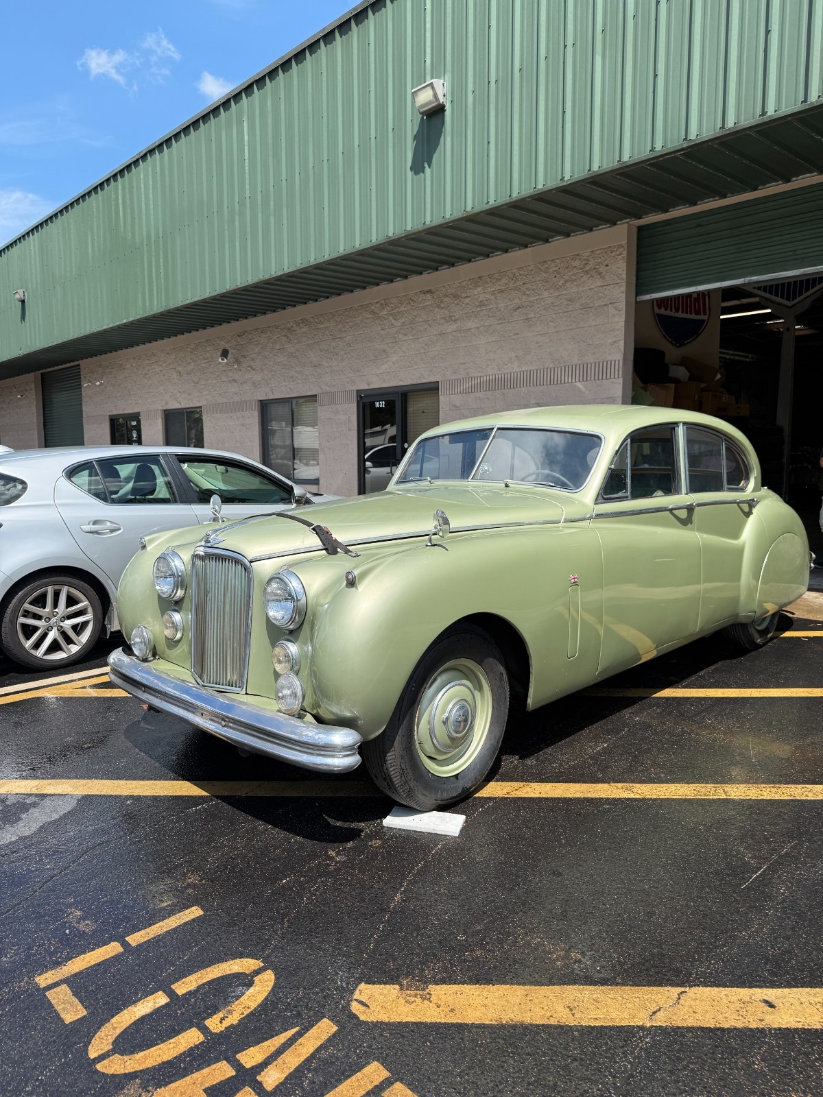 Jaguar  1952