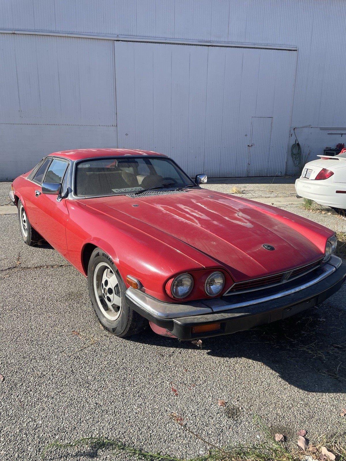 Jaguar-XJS-1983-Coupe-Tan