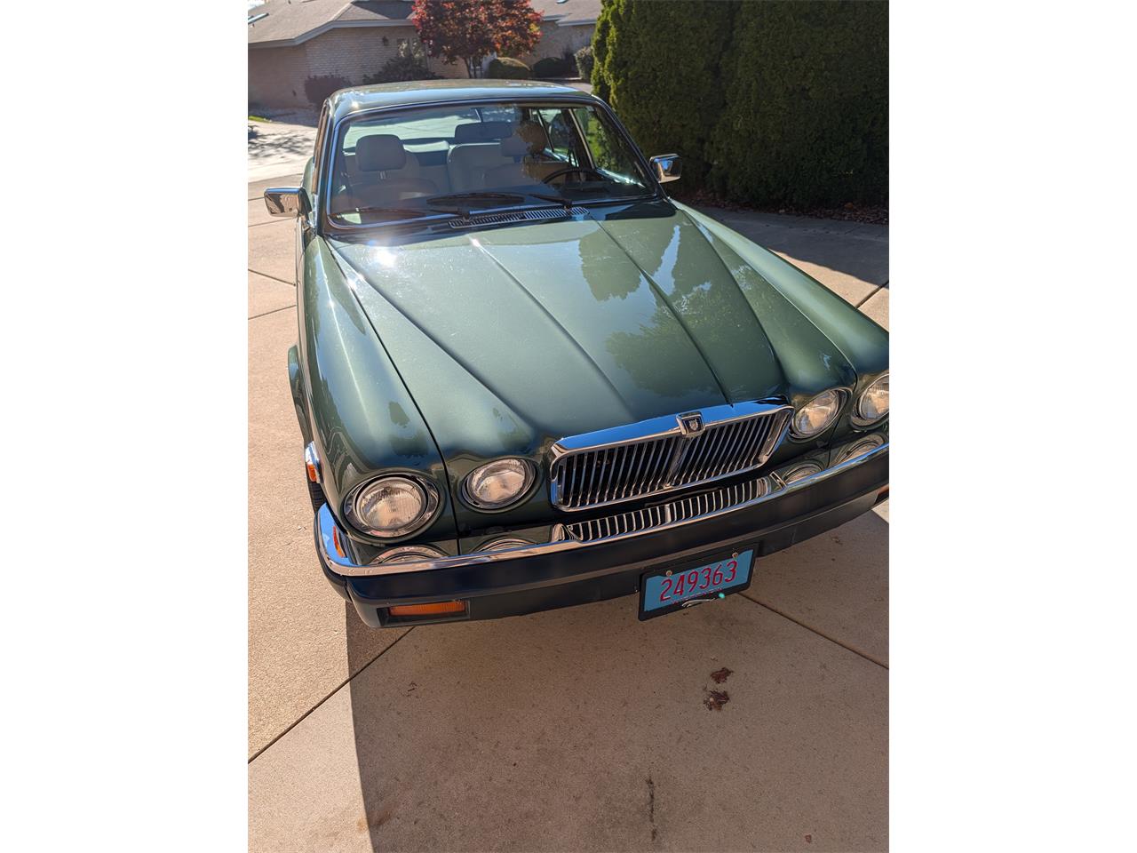 Jaguar-Xj6-1985-Sage-Green-Beige