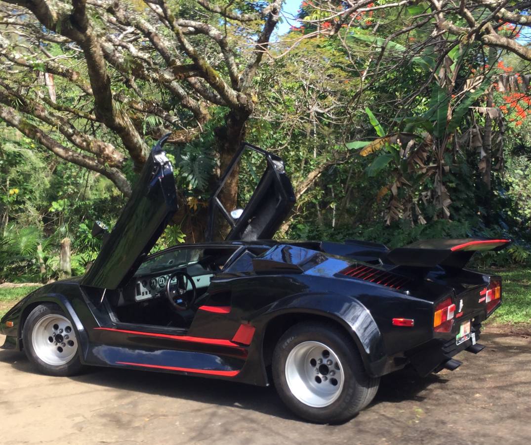 Lamborghini-Countach-kit-car-1989-black