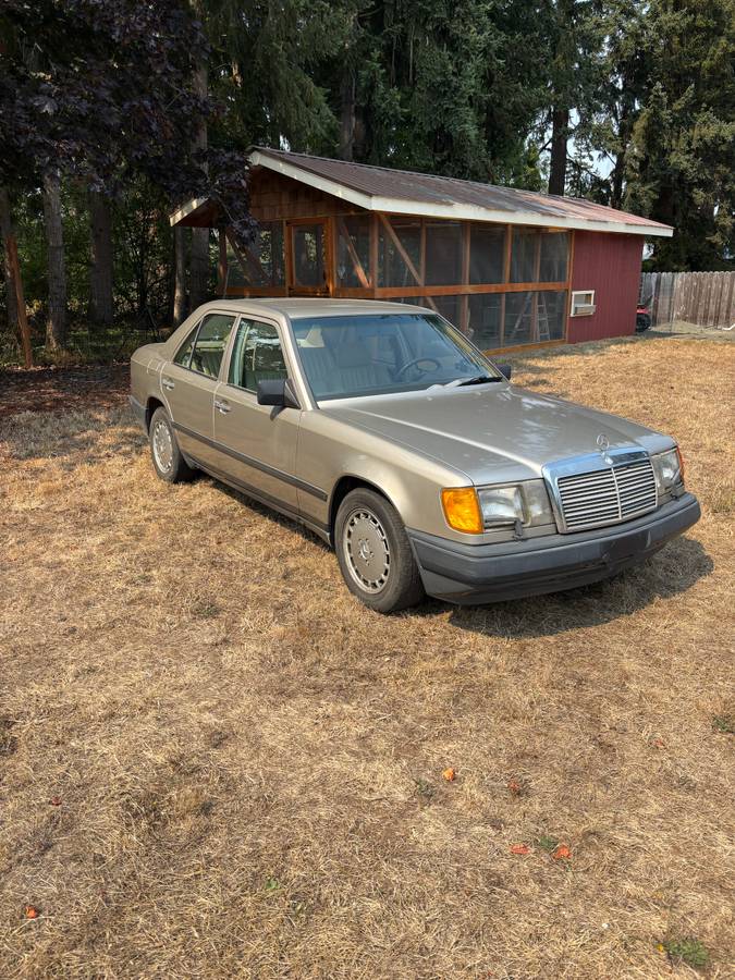 Mercedes-300e-1989-brown