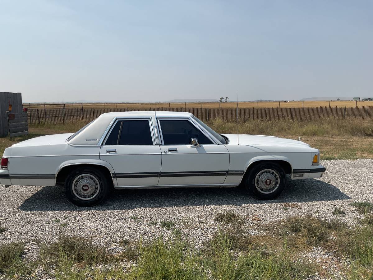 Mercury-1991-white
