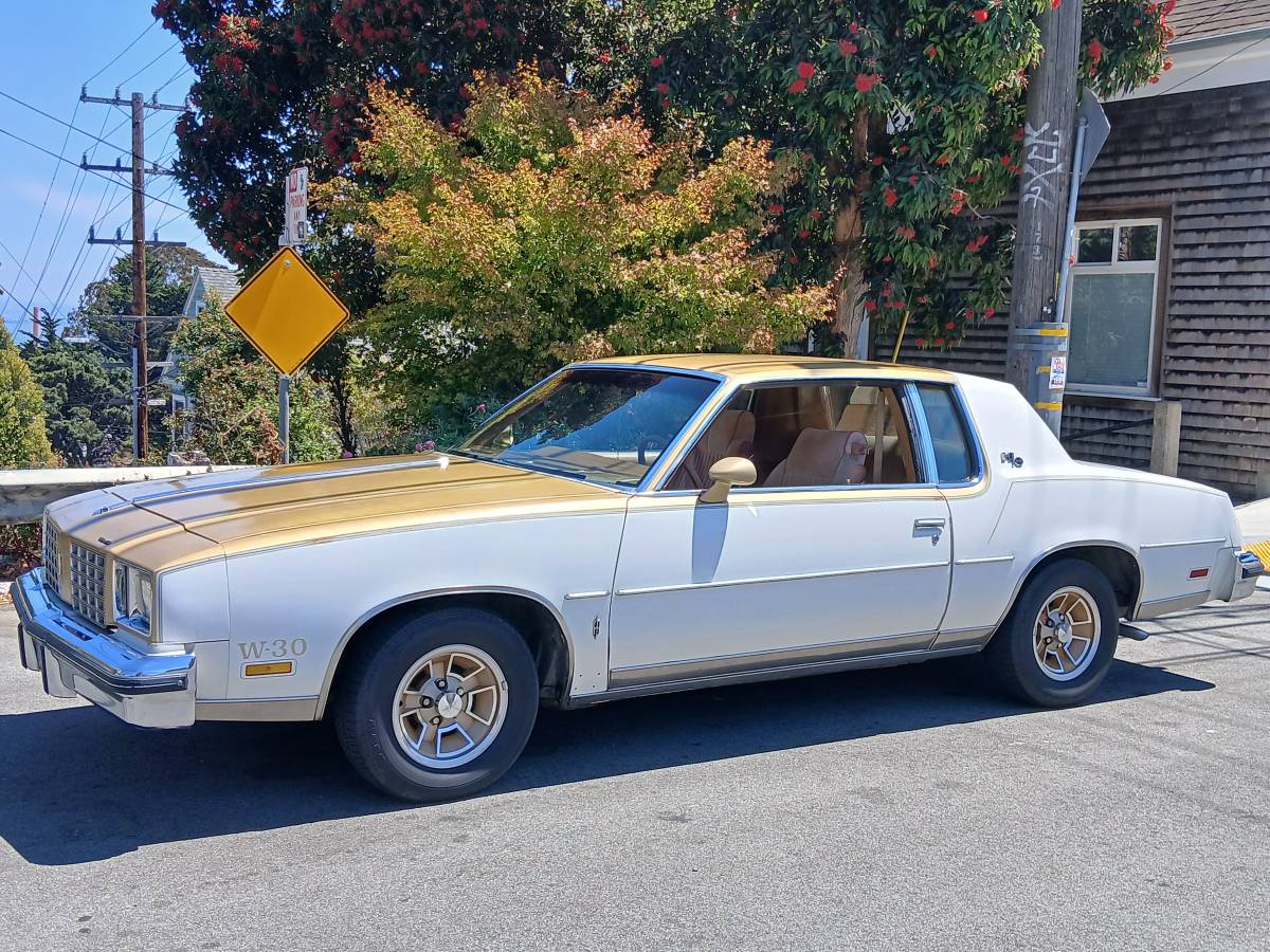 Oldsmobile-1979-white