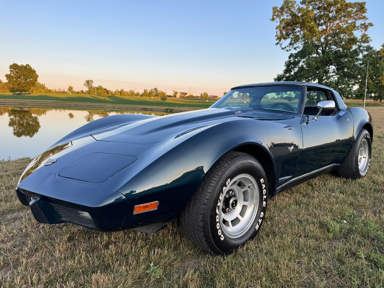 Other-Makes-T-top-Coupe-1978-Coupe-Blue