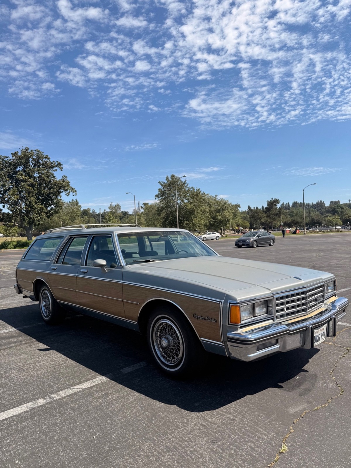 Other-Makes-classic-estate-1984-Wagon-Gray