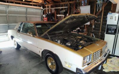 Other Makes w-30 1979