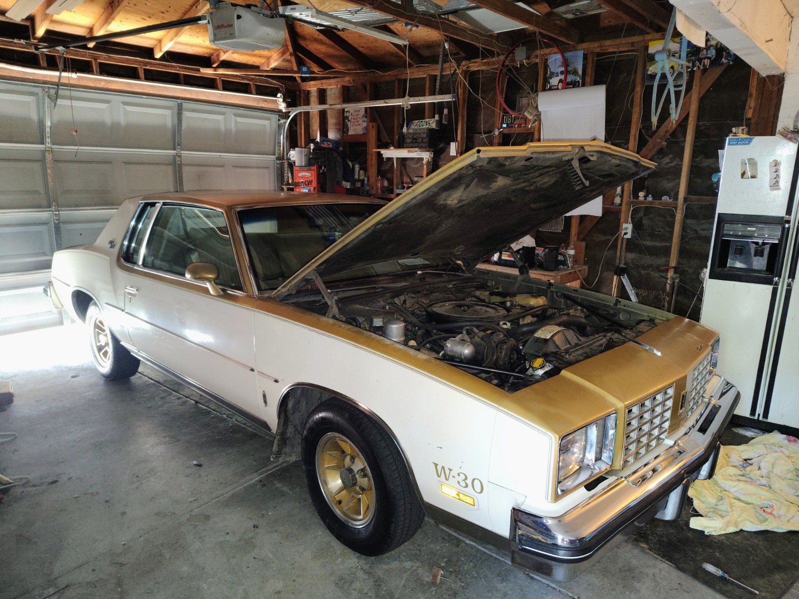 Other-Makes-w-30-1979-Tan