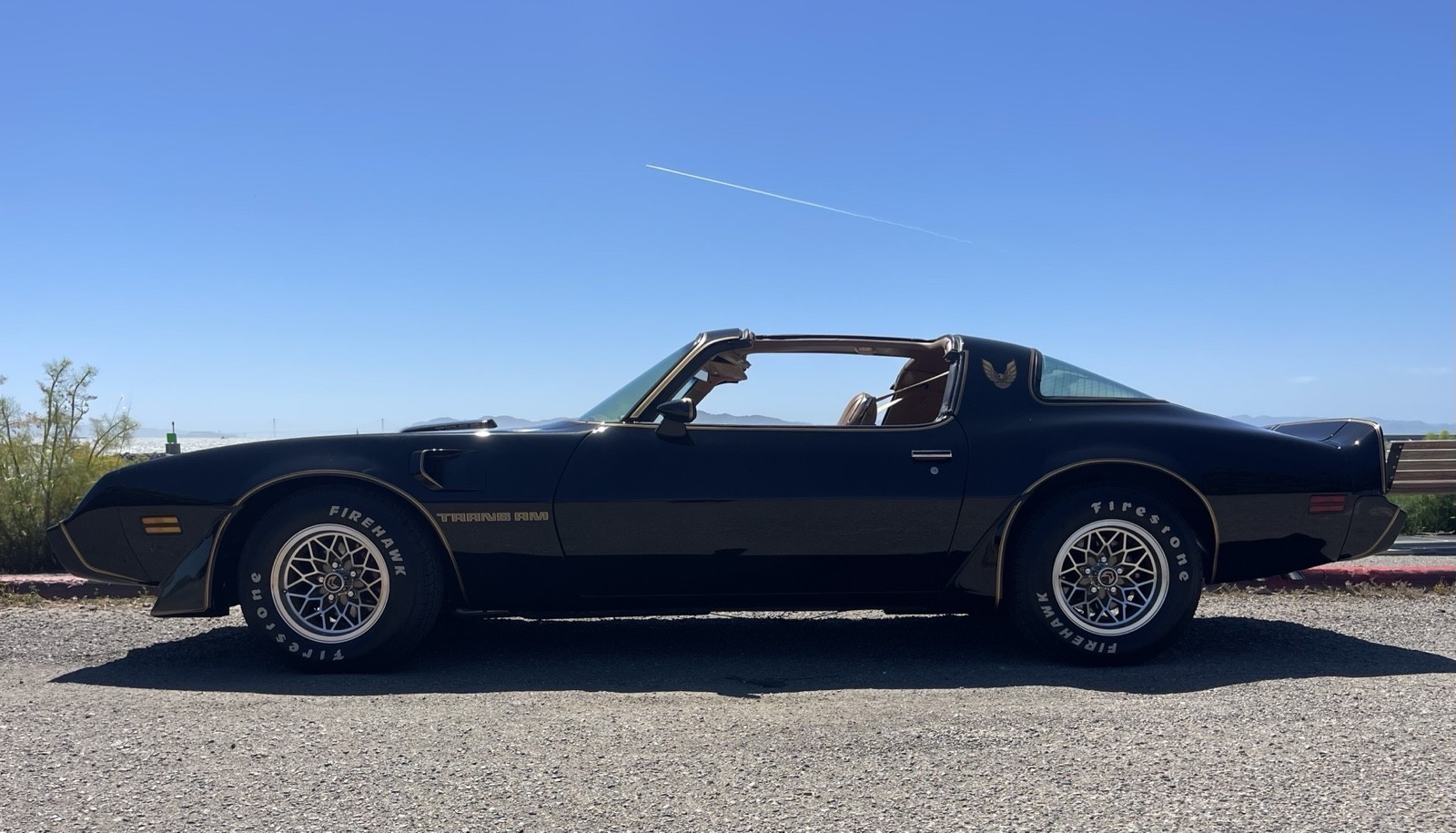 Pontiac Firebird 1979