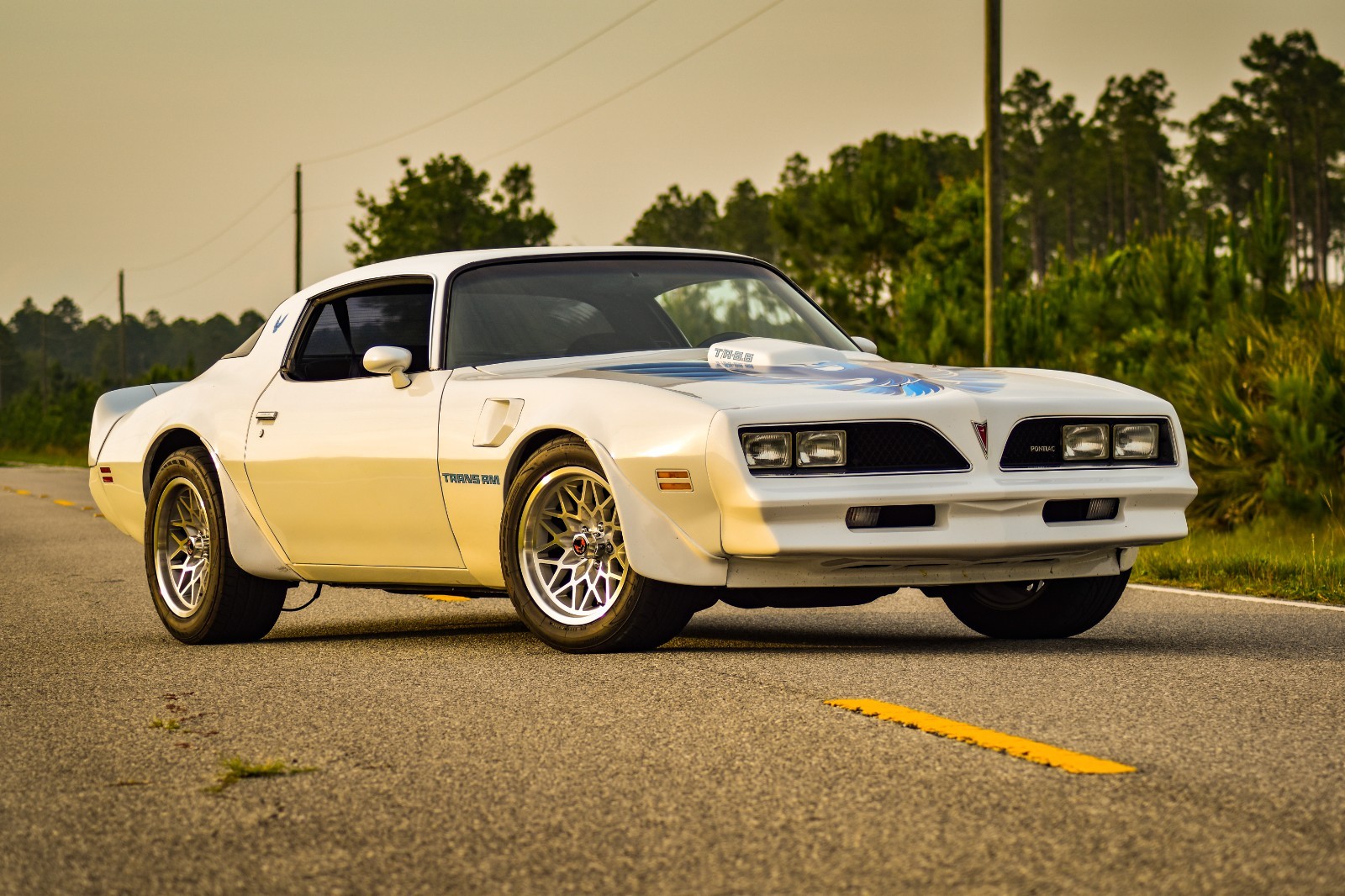 Pontiac Firebird 1979