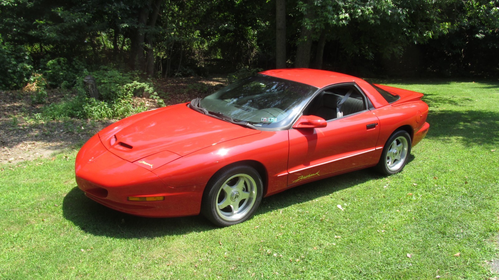 Pontiac-Firebird-1993-Coupe-Gray