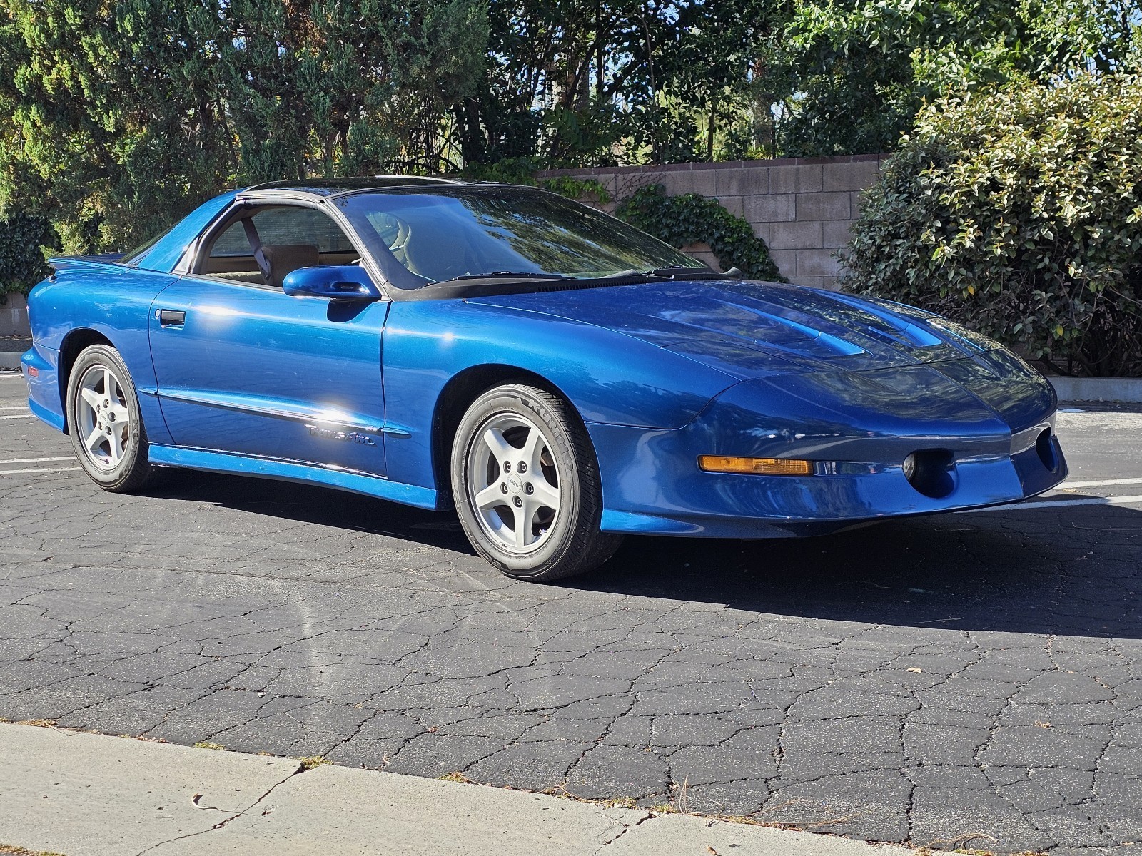 Pontiac-Firebird-1995-Coupe