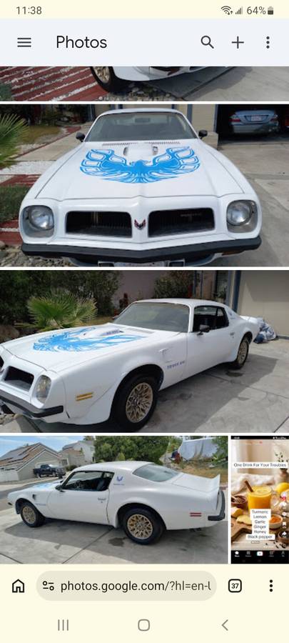Pontiac-Firebird-trans-am-1974-white