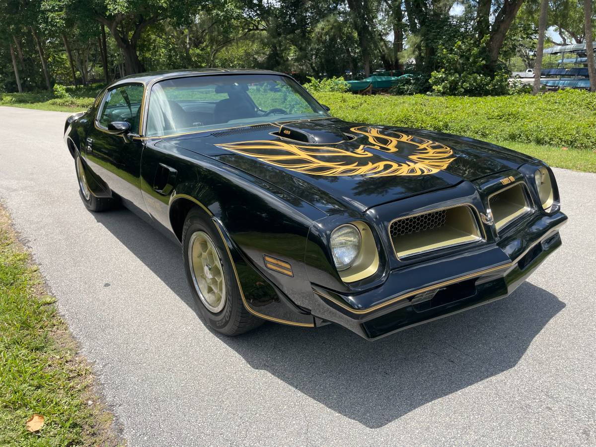 Pontiac-Firebird-trans-am-1976-black