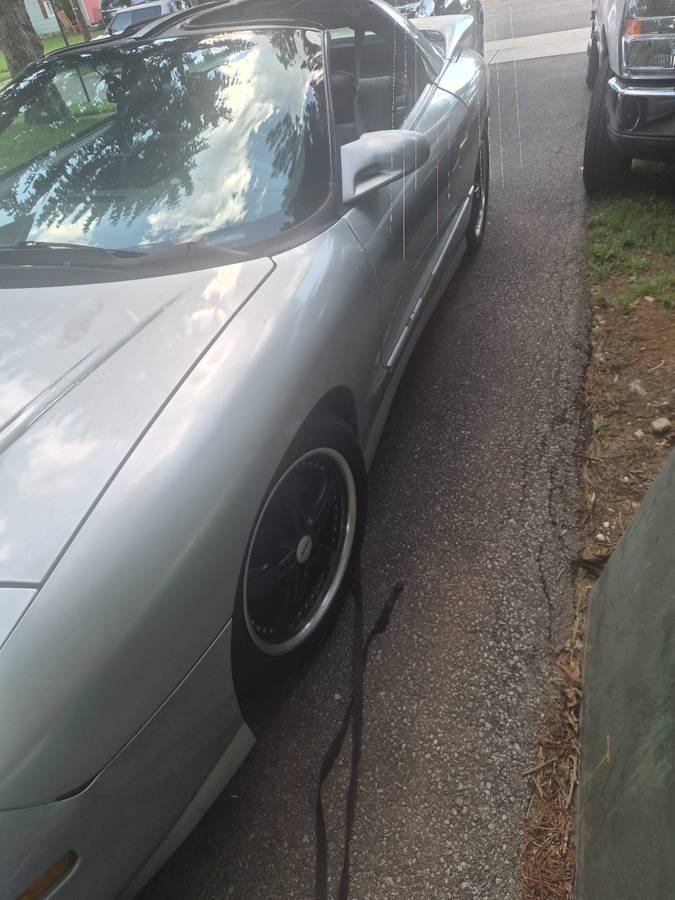 Pontiac-Firebird-trans-am-ws6-1995-grey