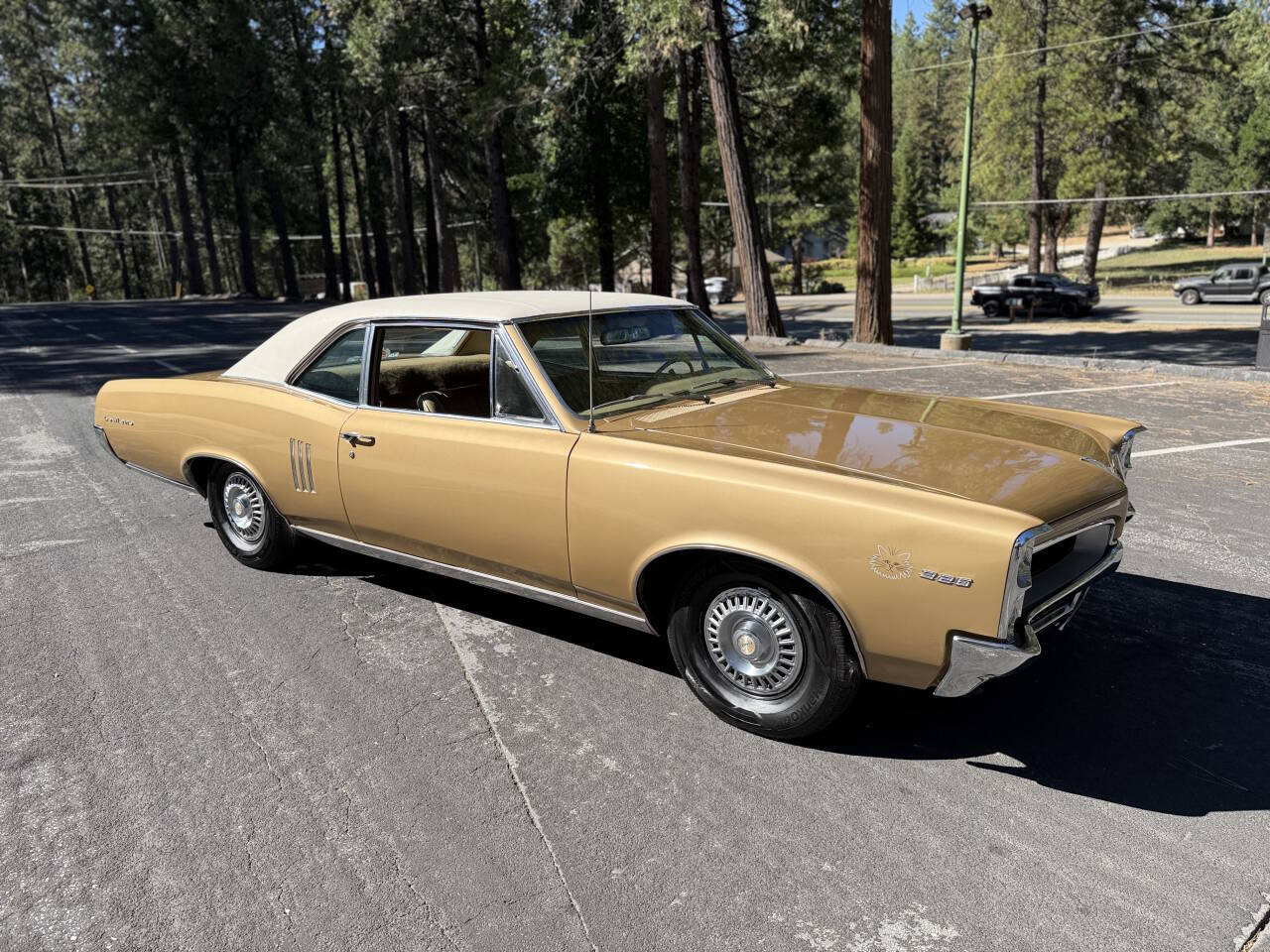 Pontiac-Lemans-1967-Gold-Gold
