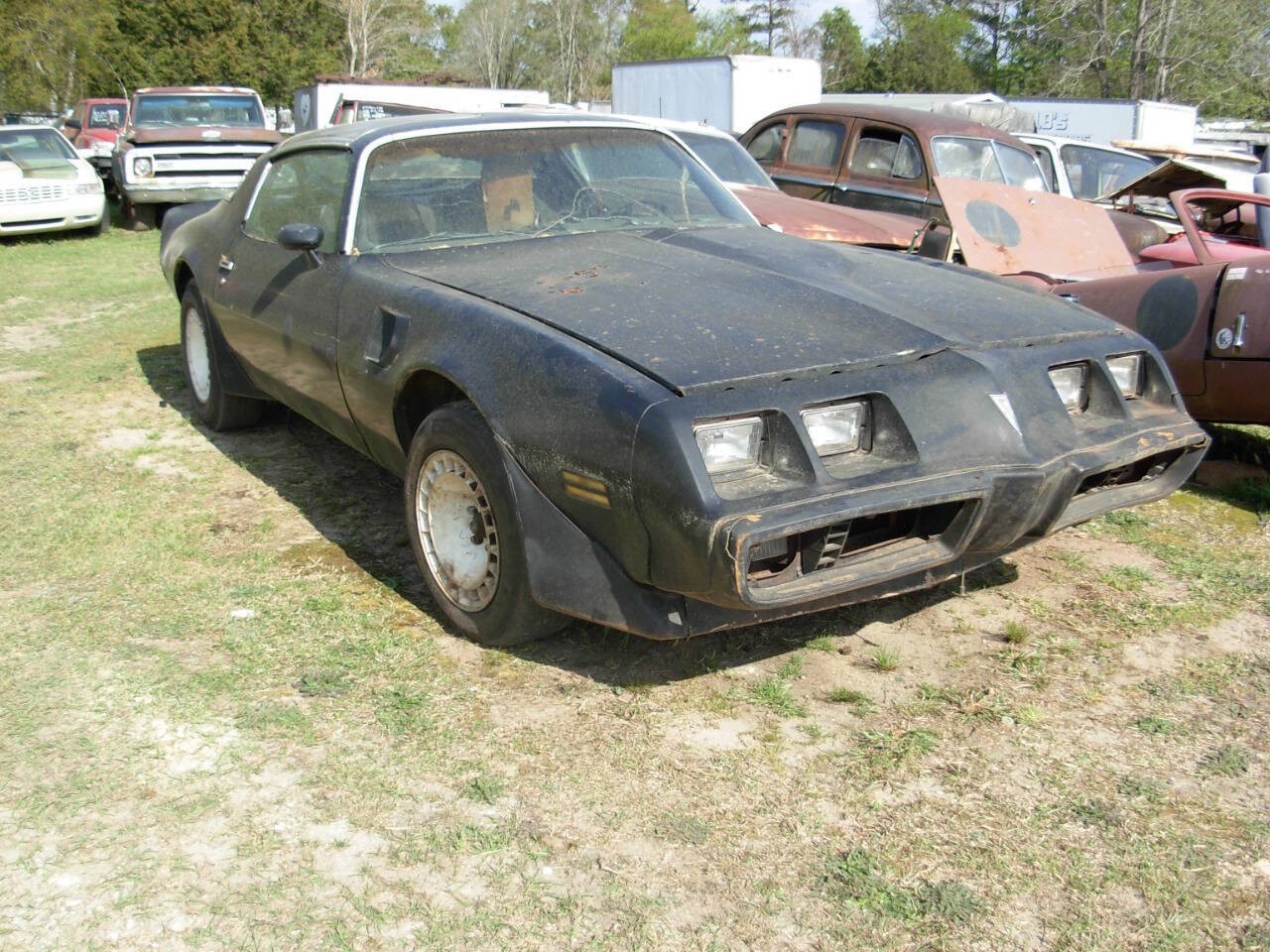 Pontiac Trans Am 1980