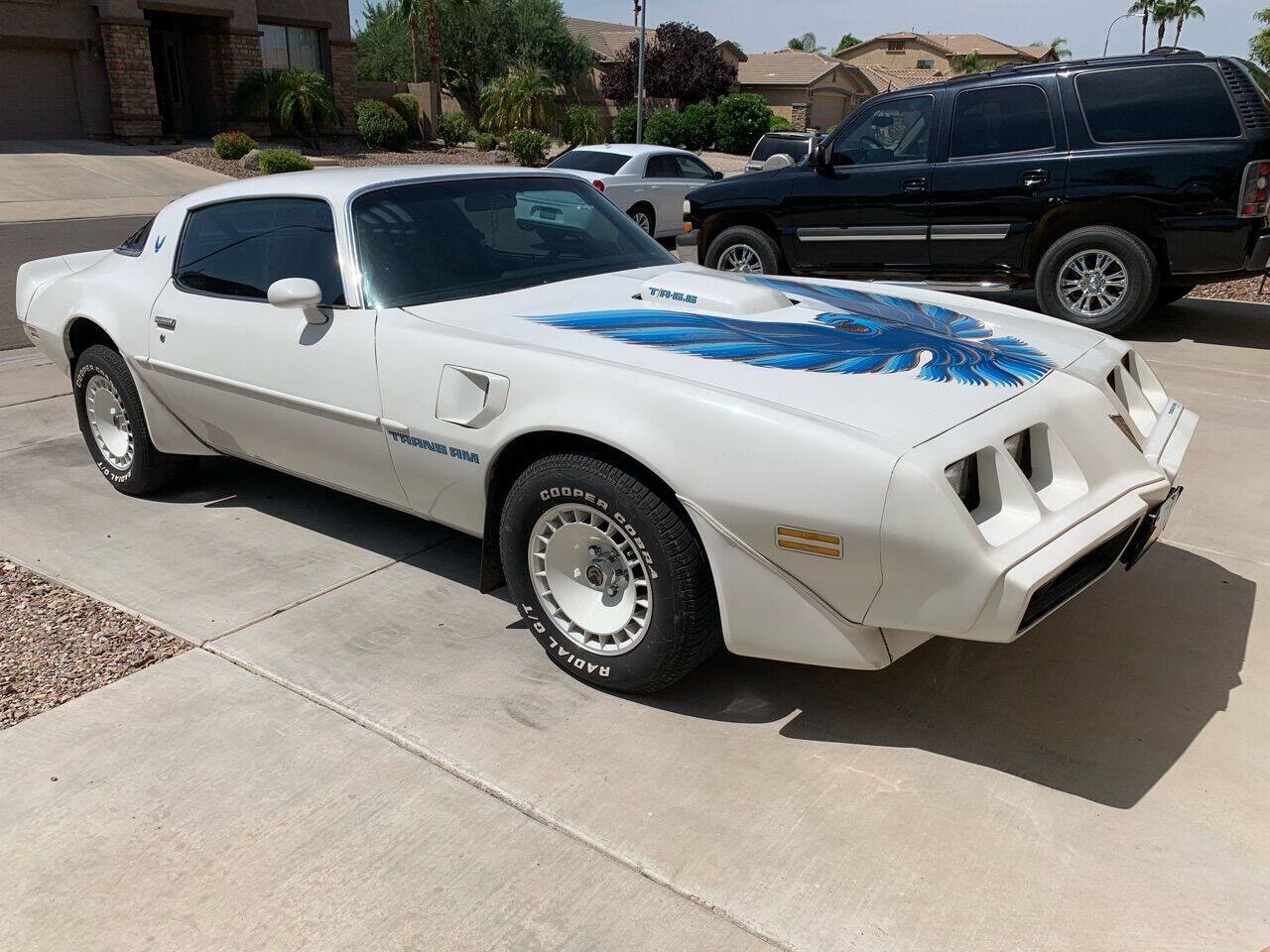 Pontiac-Trans-am-1979-White-Black Pontiac-Trans-am-1979-White-Black