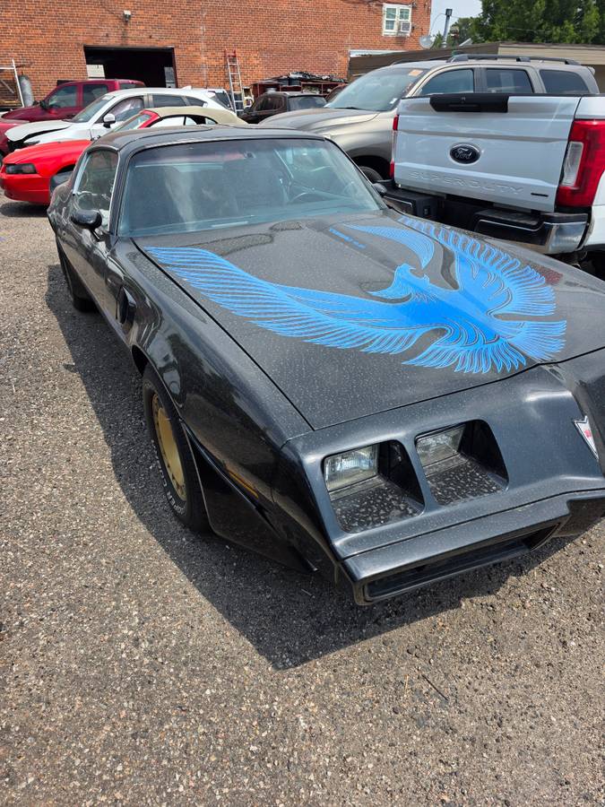 Pontiac-Trans-am-1981-black