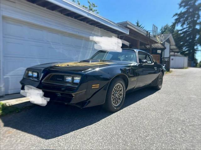 Pontian-firebird-trans-am-1981