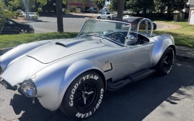 Replica/Kit Makes  1965