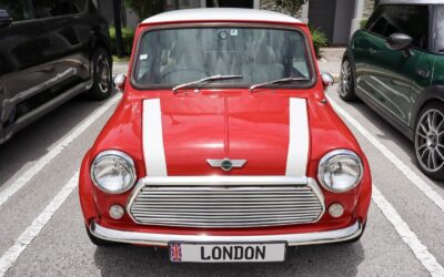 Rover Mini 1994