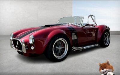 Shelby  1965