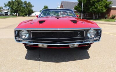 Shelby  1970