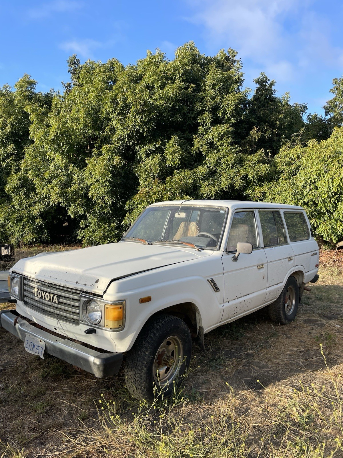 Toyota-Land-Cruiser-1986-SUV