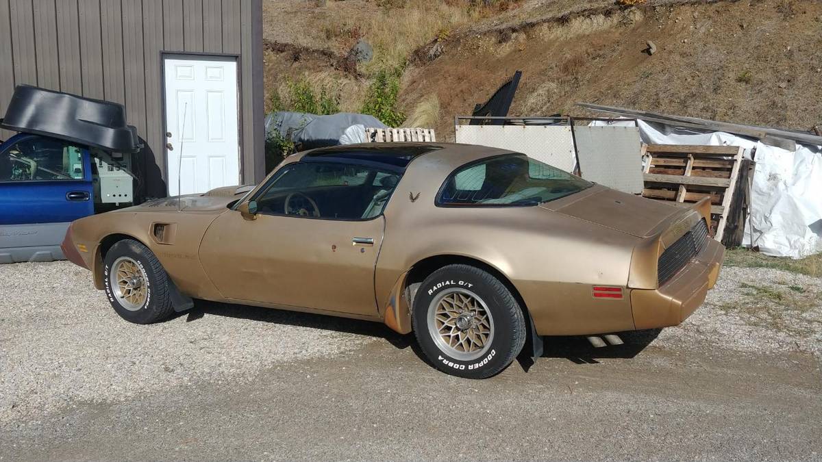 Trans-am-1979