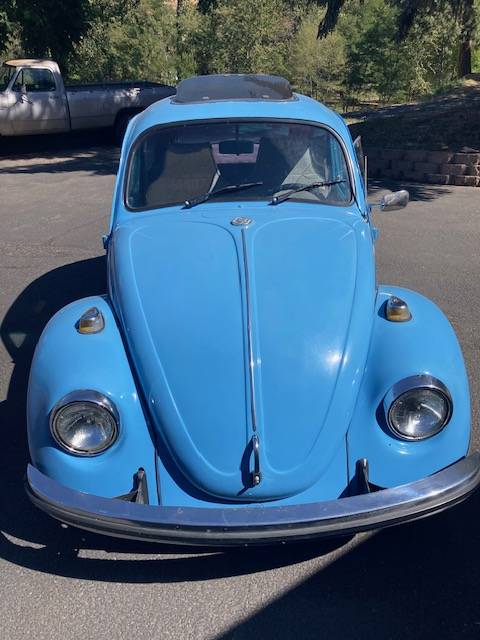 Type-1-beetle-1969