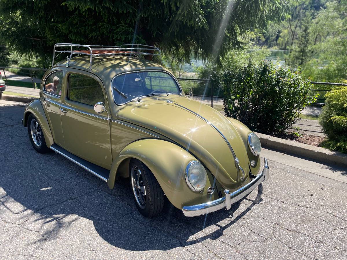 Volkswagen-Beetle-1956-green