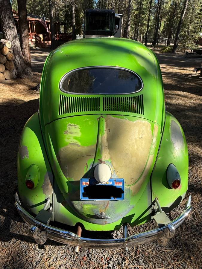 Volkswagen-Beetle-1957-green